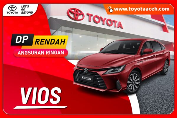 All New Vios