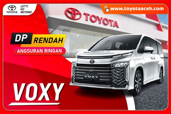 Voxy